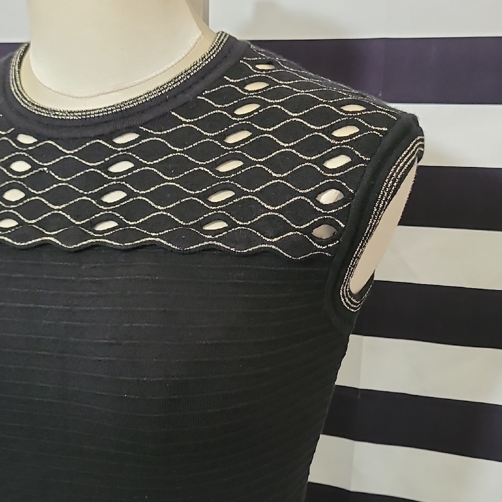 Elegant Black Sleeveless Dress - Picture 5 of 12